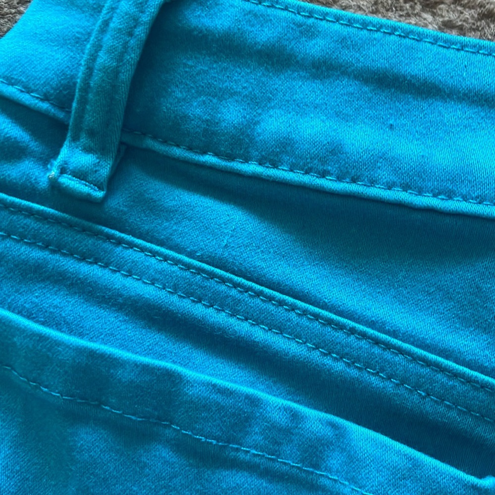 Nygard Vibrant Blue Ankle Skinny Pants - Size 14 - Picture 6 of 16